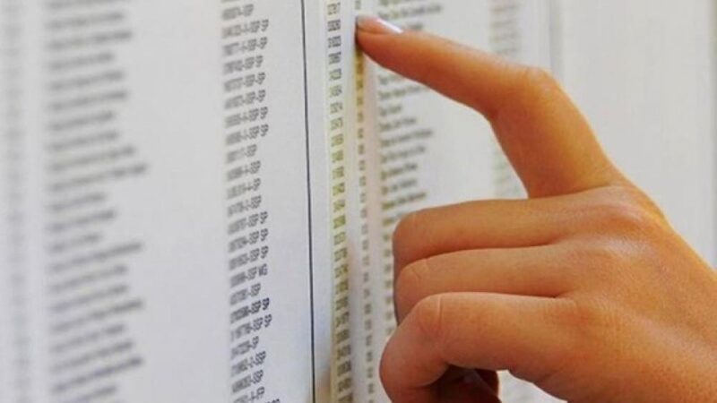 Prefeitura de Viana divulga os classificados para bolsas de estudos de nível superior, técnico e de pós-graduação