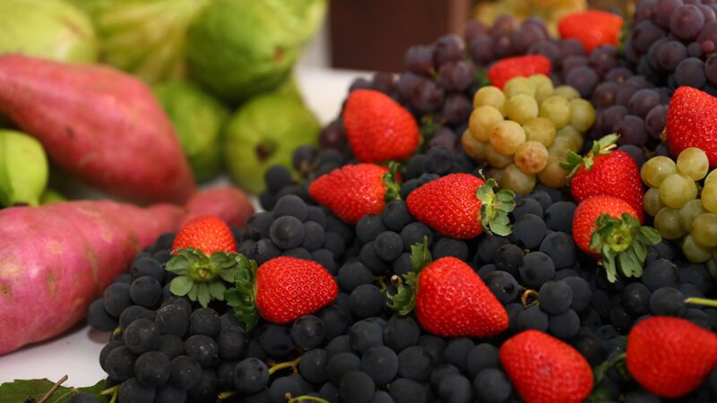 Arranjos Produtivos inicia nova jornada e fortalece o suporte aos agricultores familiares