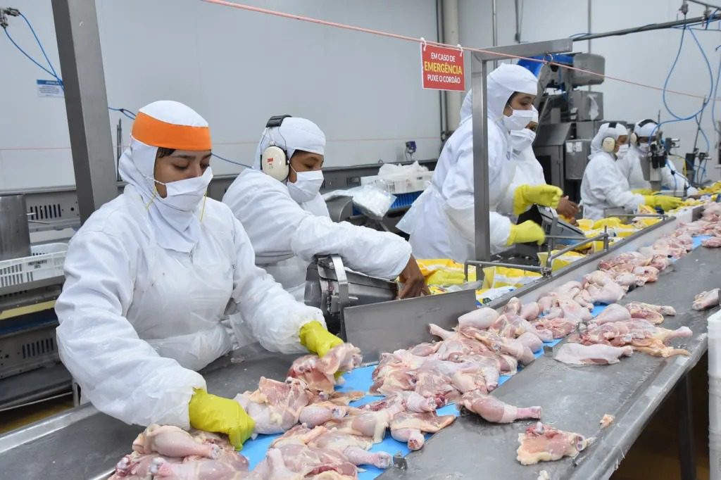 Gripe aviária não deve afetar produção de frango e ovos do Espírito Santo, diz secretário