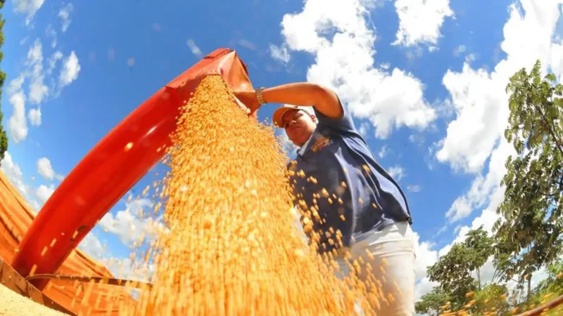 Safra de grãos 2025/2026 pode superar recorde histórico, aponta Conab