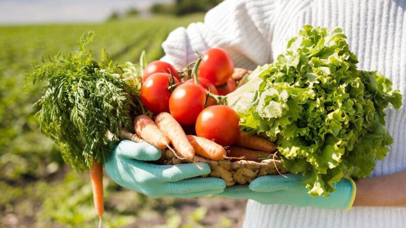 Prefeitura cria Banco de Alimentos para combater a fome e o desperdício