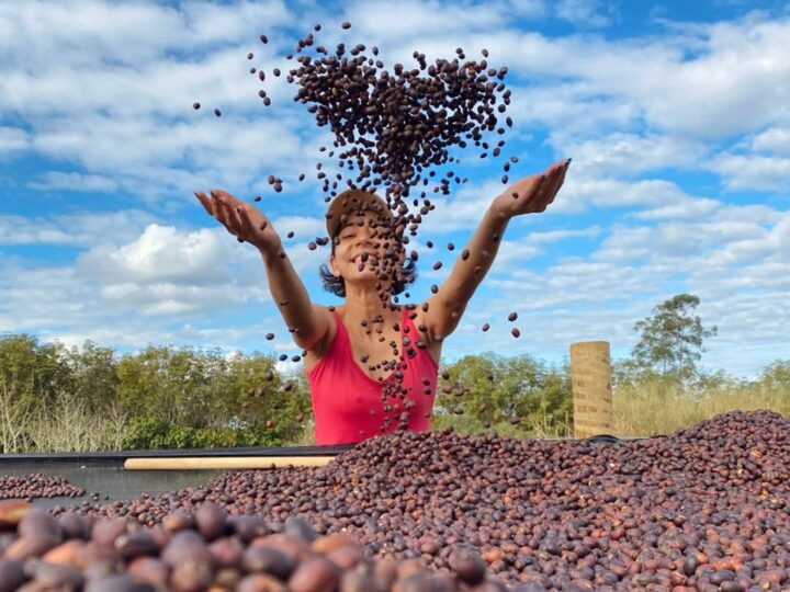 Primeira estimativa da safra 2026 aponta aumento na produção de café no ES