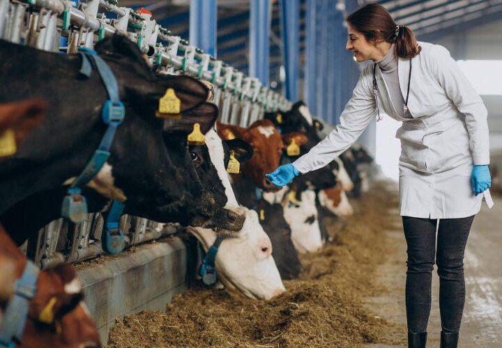 Processo seletivo para veterinários e agrônomos avança para segunda etapa