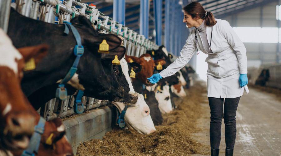 Processo seletivo para veterinários e agrônomos avança para segunda etapa